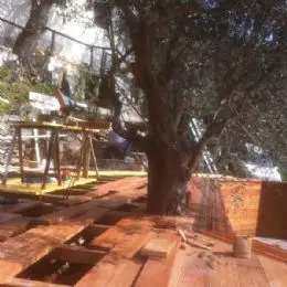 piscina tra olivi